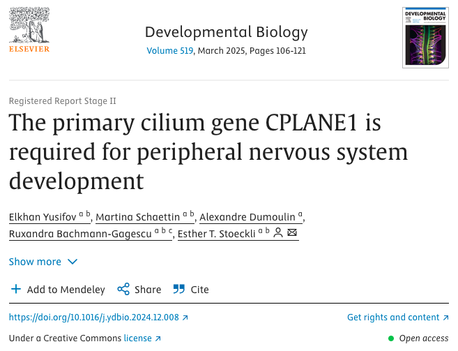 Elkhan Yusifov's PhD work is published on Developmental
